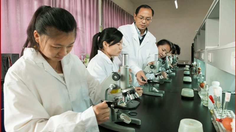广东制药设备批发市场怎么选