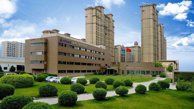 羟丙甲纤维素空心胶囊原料：揭秘其关键特性与选择要点**