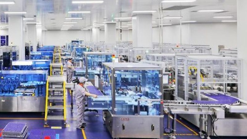 热门中药材品种价格涨跌背后的原因解析